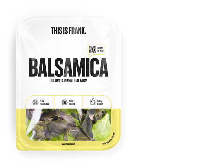 Salad2