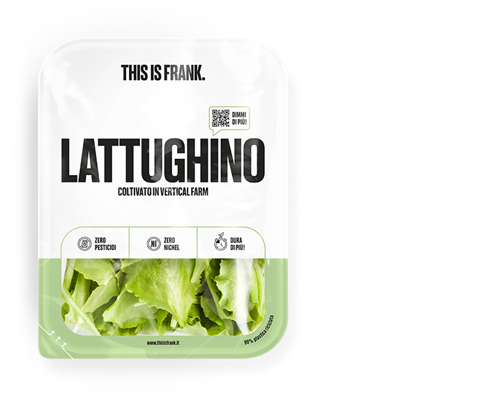 Salad3