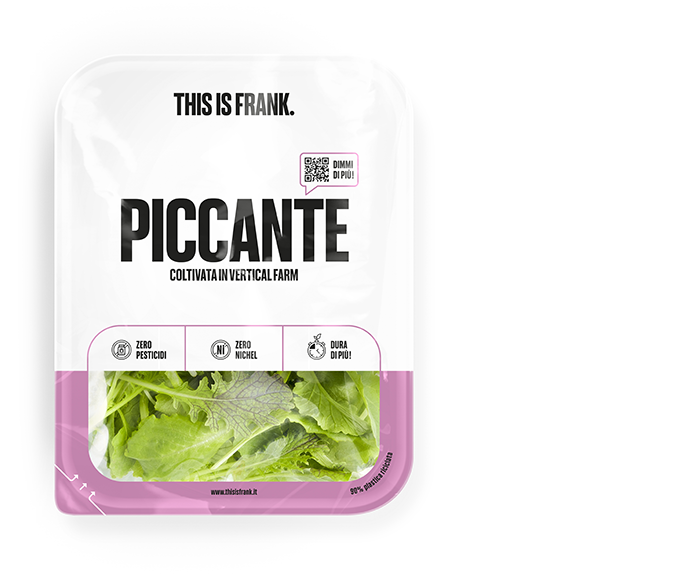 Salad5